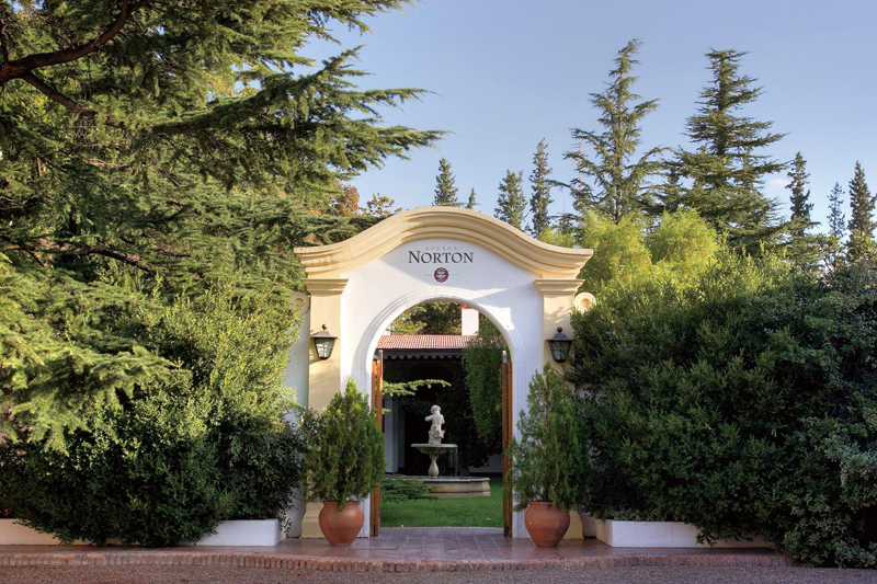 201904-bodeganorton-img003