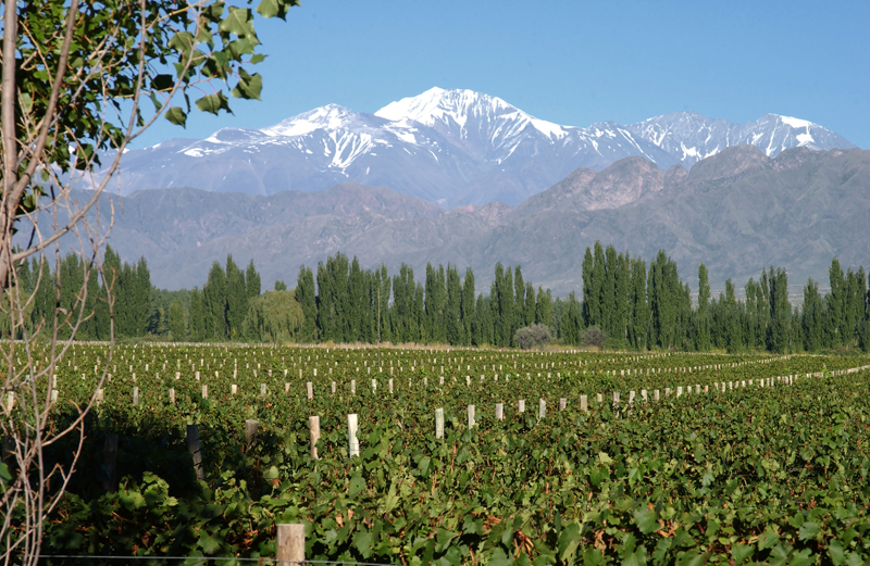 201904-bodeganorton-img02