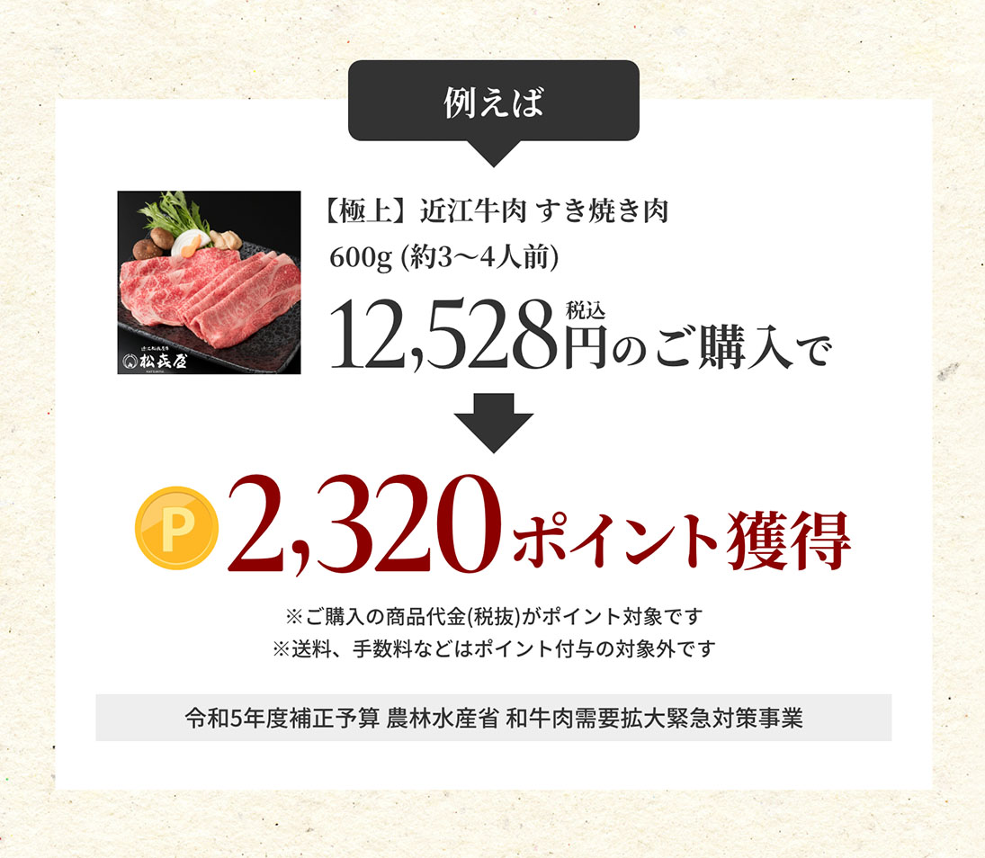 20%ポイント還元の例